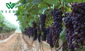 20230517095726 20230517095726