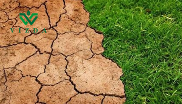 मृदा लवणता बनने के कारण